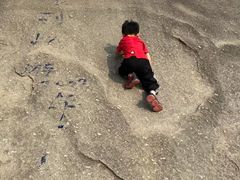 -火炉山森林公园