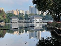 -荔湾湖公园