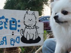 -翊宠yipet猫狗购宠庄园犬舍•猫舍