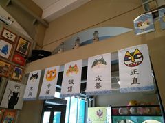 -猫咪博物馆(顶澳仔猫街店)