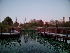 -五缘湾湿地公园