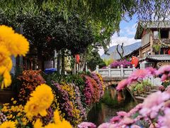 -民食香·腊排骨野生菌美食(木府店)