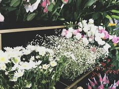 -COACH蔻驰(恒隆广场店)