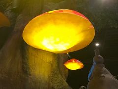 -蓝精灵乐园·世茂精灵之城主题乐园