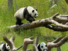 -宁波野生动物园