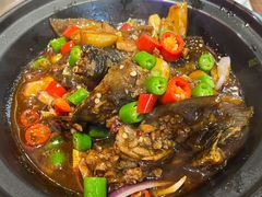 红烧甲鱼-老苏州芳和园茶酒楼  传统苏帮菜(观前店)