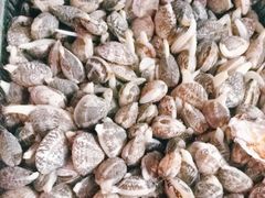 -海帮主·蒸汽海鲜青岛菜(栈桥火车站店)