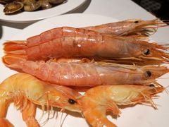 阿根廷红虾-五月罗马海鲜自助餐厅(陆家嘴店)