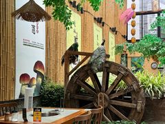 -大理董·董家小厨野生菌火锅(古城旗舰店)