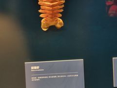 -上海中国航海博物馆