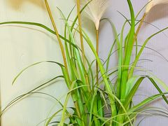 -徽镇小厨·经典徽菜(十里河店)