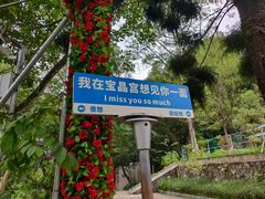 -宝晶宫旅游景区