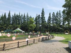 -前小桔亲子创意农场·草莓采摘·露营烧烤