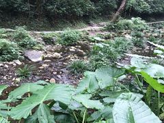-桂林古东瀑布景区