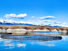 -原志优秀食材·匠心料理·海胆主题(金亿广场店)