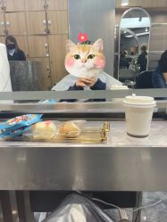 -Sying杉影日式烫染專門店