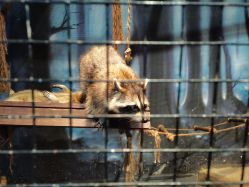 -酷嗒动物文化乐园(cutezoo西溪乐天城店)