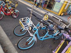 -春花秋色城市公园