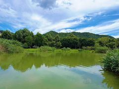 -鉴湖国家城市湿地公园