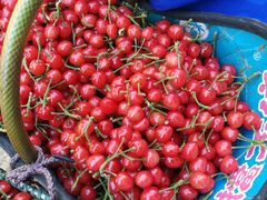 -龙口南山旅游景区