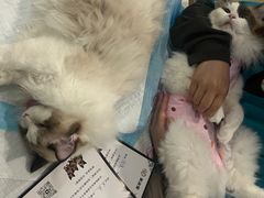 -美迦爱-牙专科·兔科·骨科诊疗中心(北苑店)