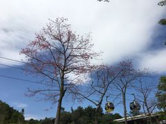 -广州市白云山风景名胜区