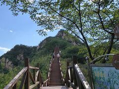 -大岭沟猕猴桃谷风景区