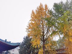 -西安化觉巷清真大寺