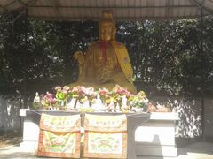 -上海佘山国家森林公园天马山园