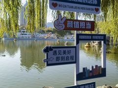 -团结湖公园