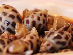 -老洋房花园饭店(绍兴路店)