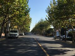 -上海德威外籍人员子女学校(浦东校区)