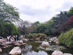-神仙树公园