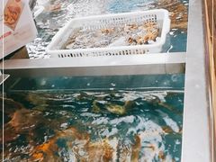 -盒马鲜生(大成店)