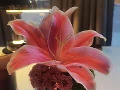 -芙蓉堂(武汉天地店)