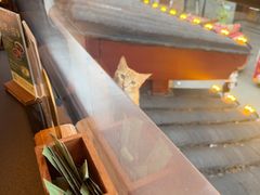 -奇芳阁·百年清真南京菜(夫子庙店)