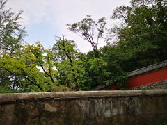 -阳台山自然风景区