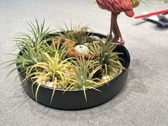 -虹御轩·传承江浙菜(虹桥店)