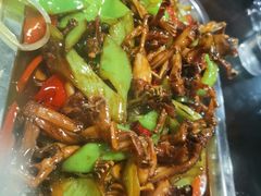 辣炒田鸡-三盛肥蛤(二环南路店)