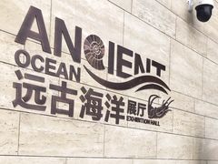 -贝林大翅鲸简餐厅(国家海洋博物馆店)