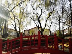 -玲珑塔公园