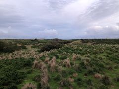 -企鹅岛