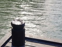 -长广溪湿地公园