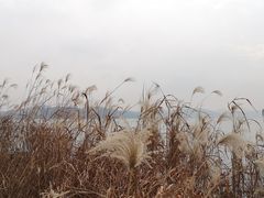 -上海市保健医疗中心