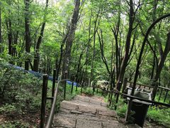 -帽儿山风景区