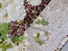 -大龙山(地铁站)