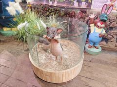 -正佳雨林生态植物园