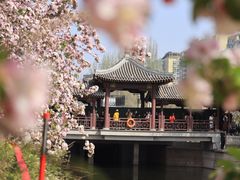 -元大都城垣遗址公园