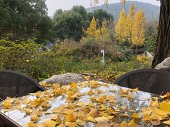 -宝界山林公园