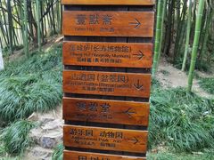 -水绘园